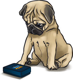 Sad pug with deck of cards