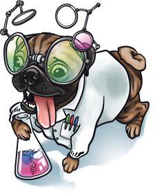 Scientist pug running with test tube